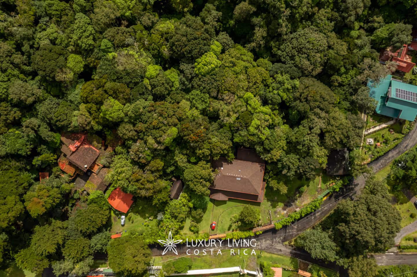 Vista aérea del bosque